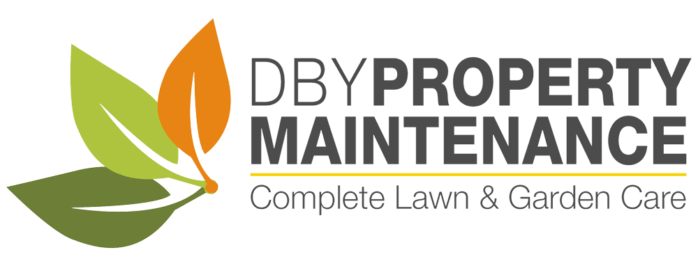 DBY Property logo transparent